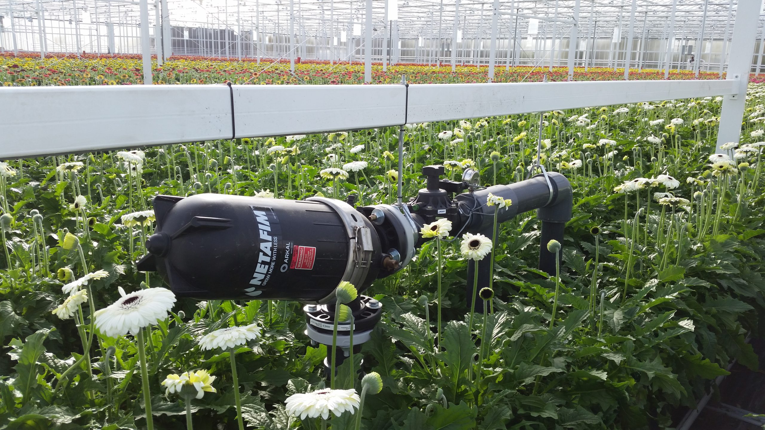 netafim filter horticulture irrigation