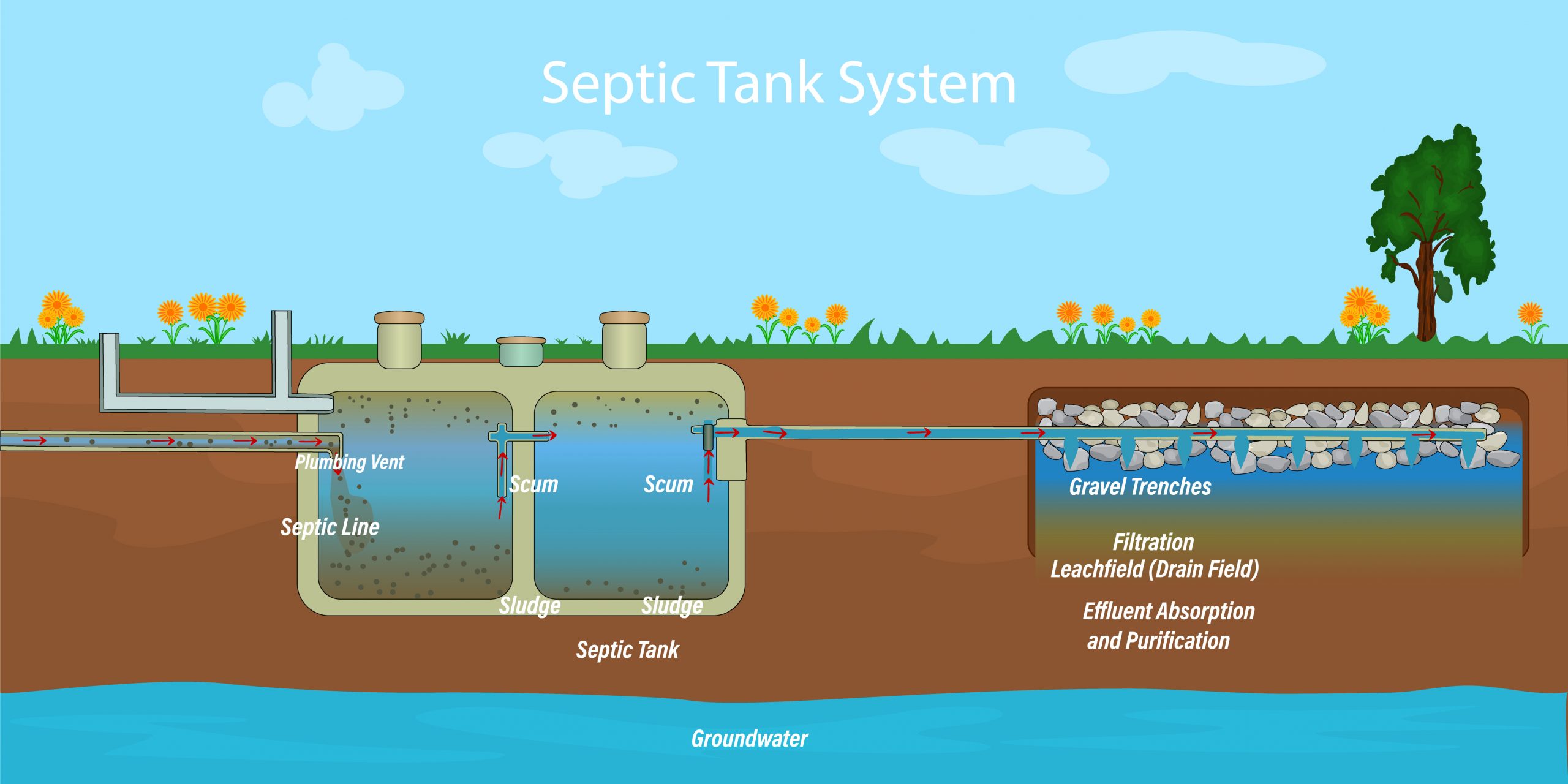 septic tank system diagram