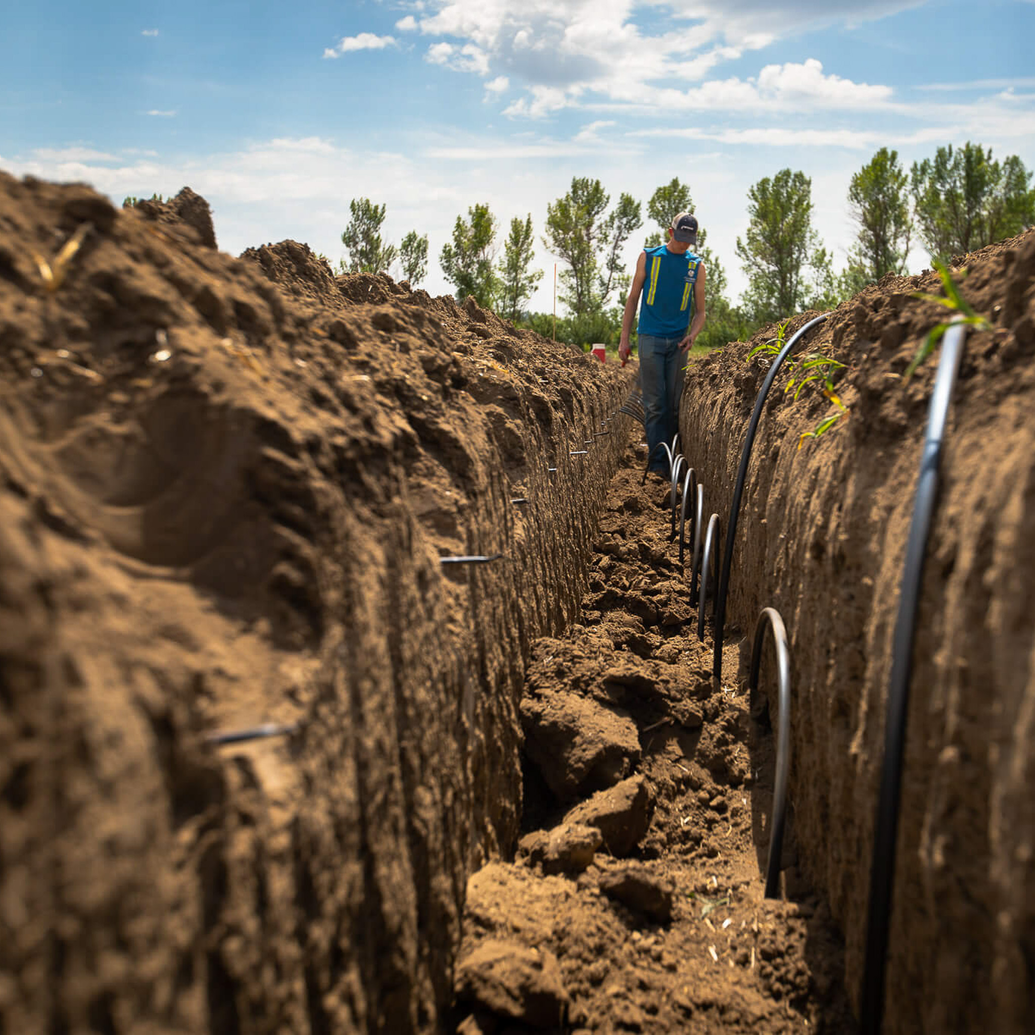 subsurface drip irrigation SDI