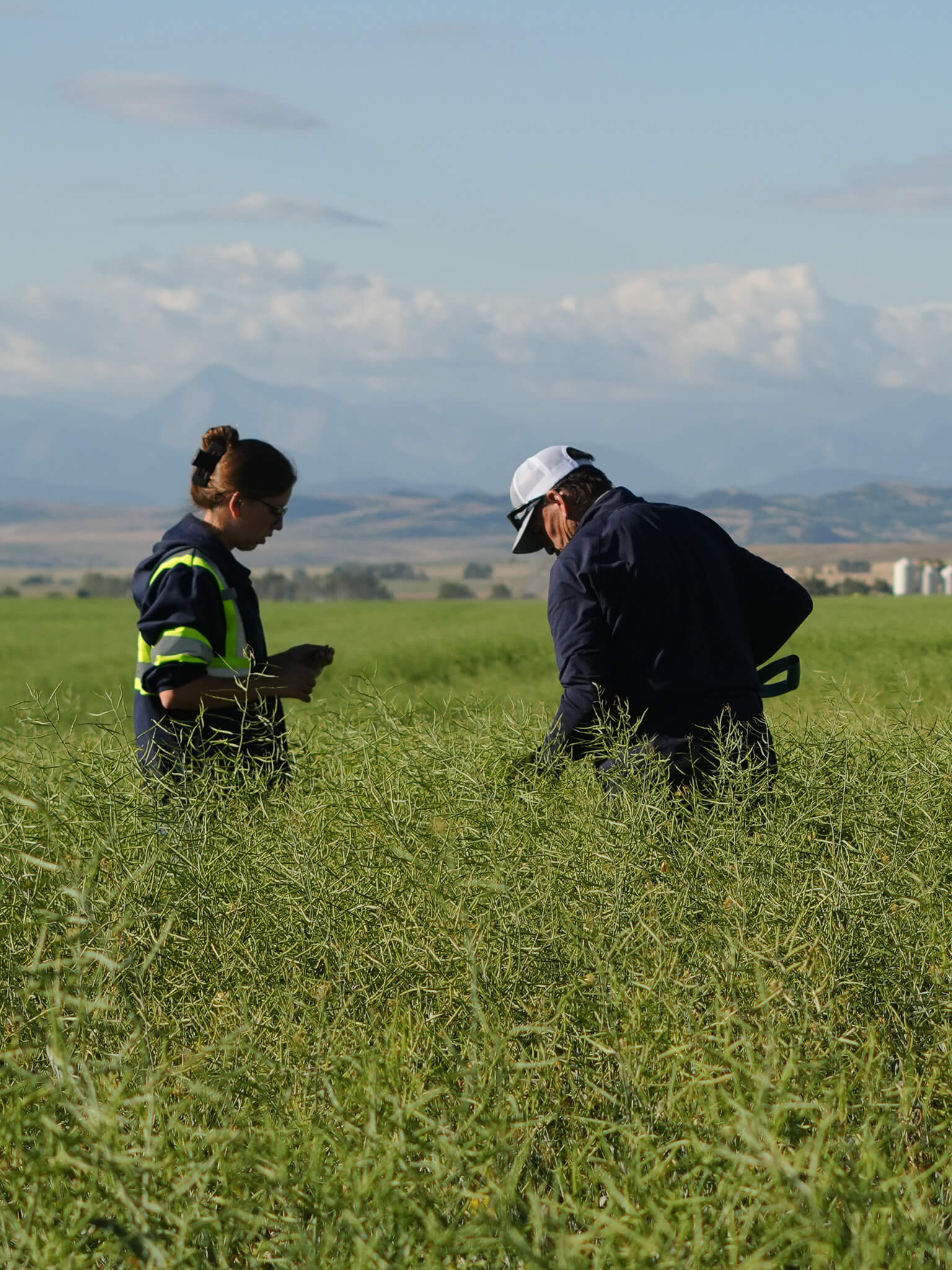 Susan Hoogeveen, Agronomist