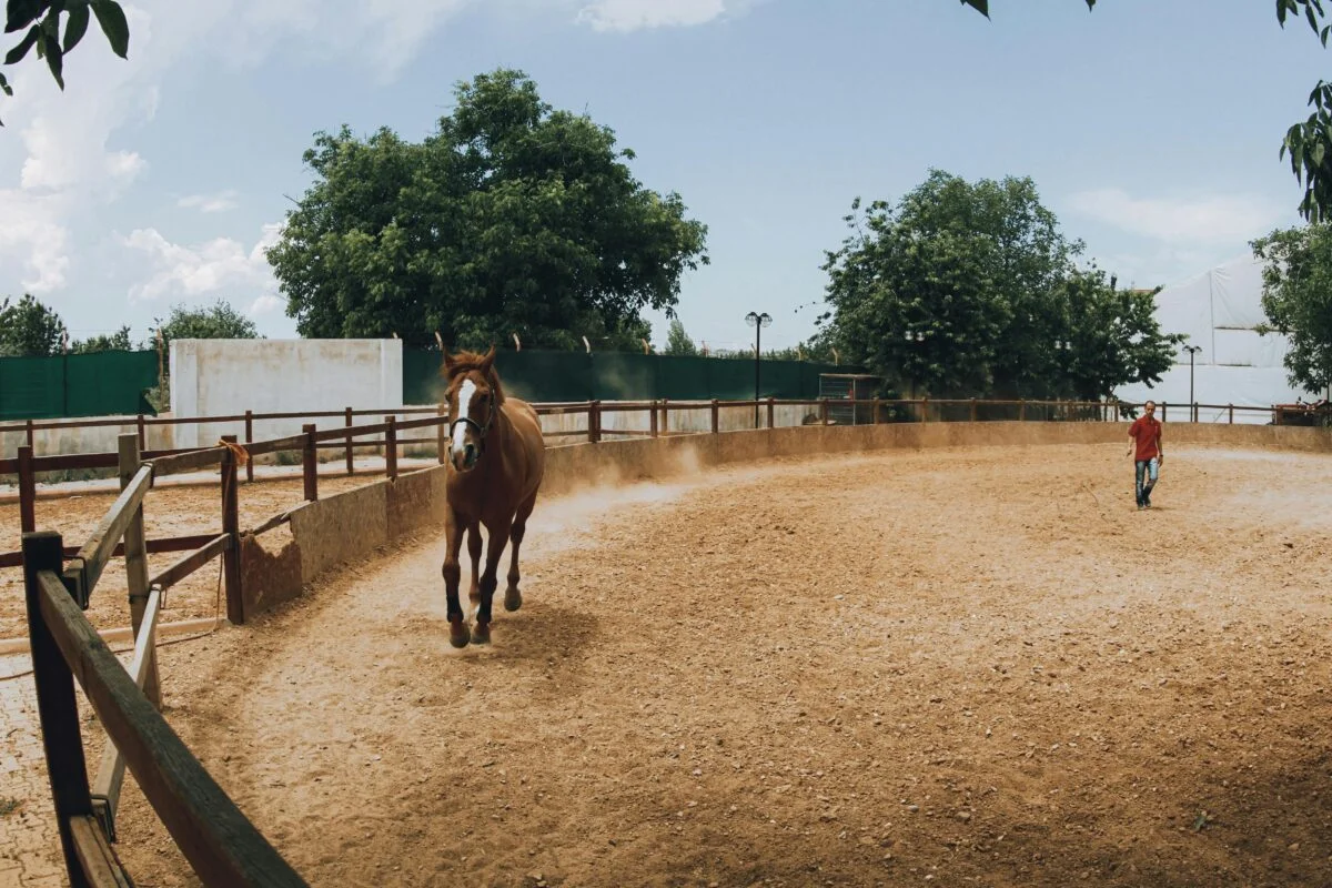 horse arena