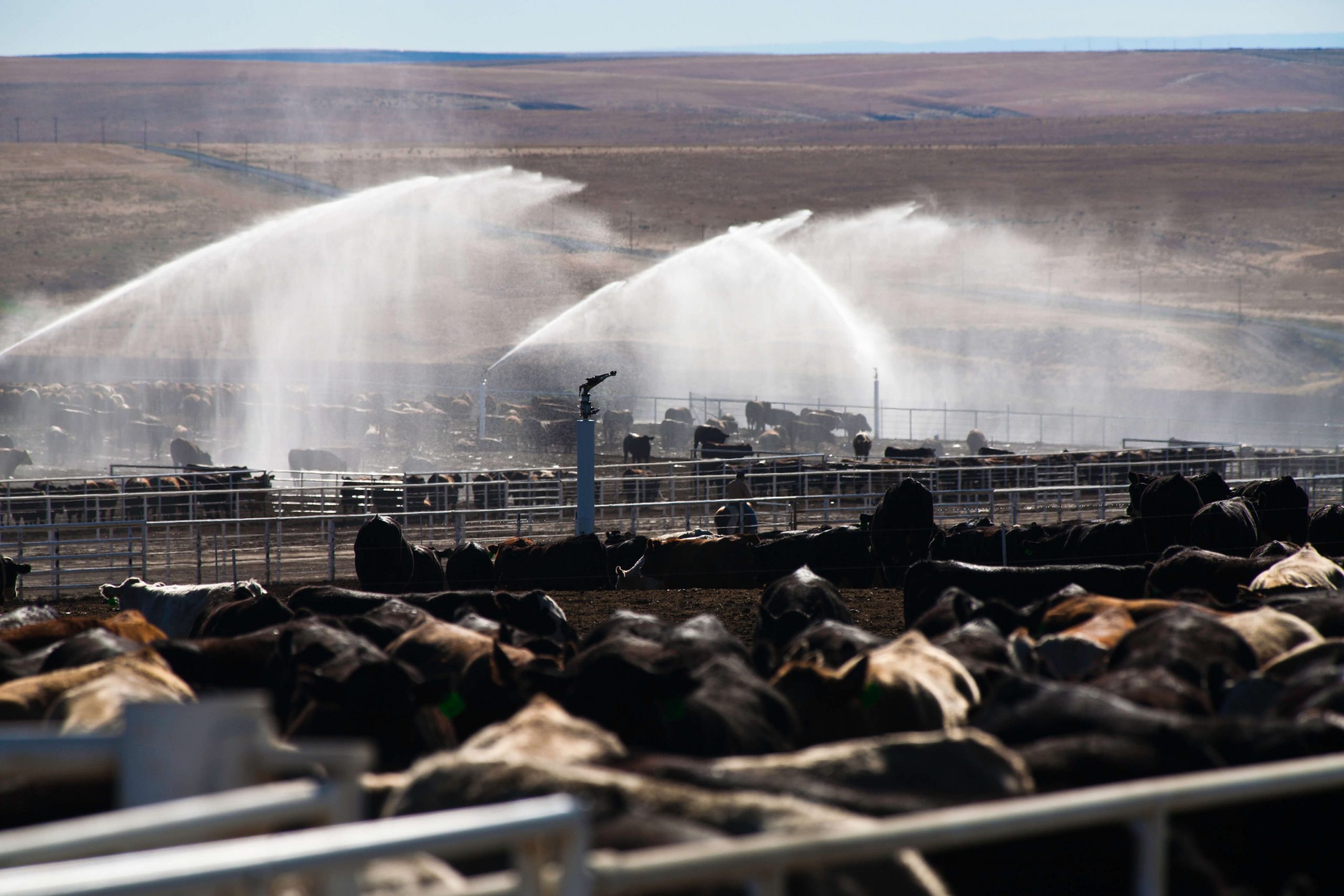 dust control