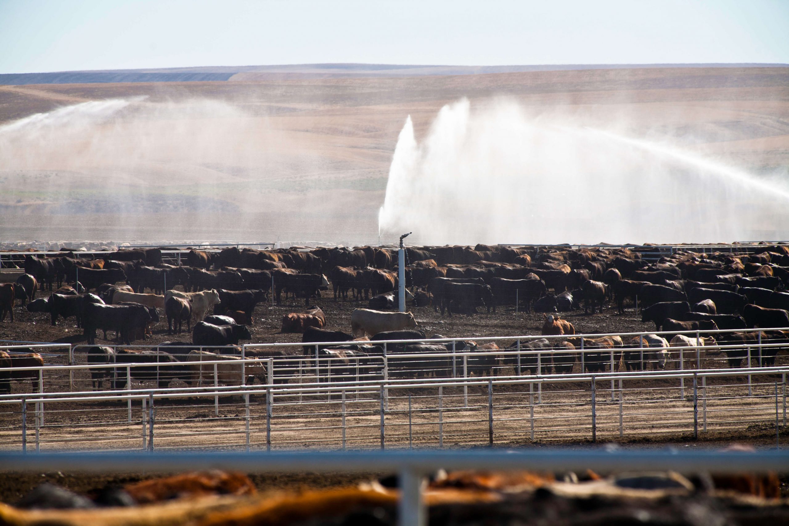big gun sprinklers