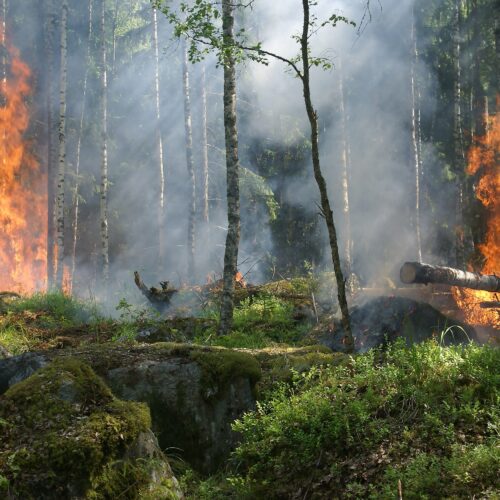 fire control