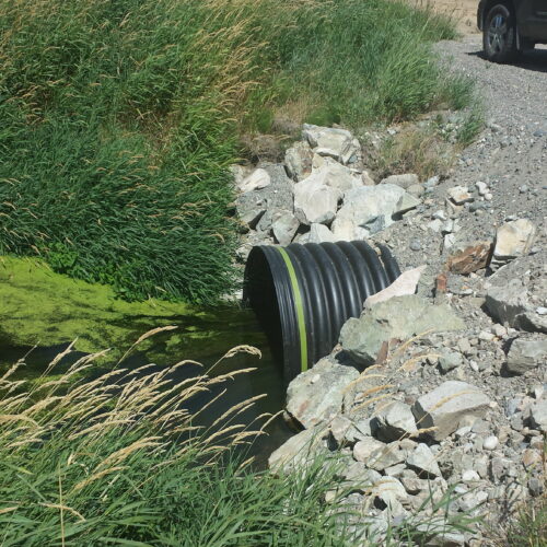 drainage
