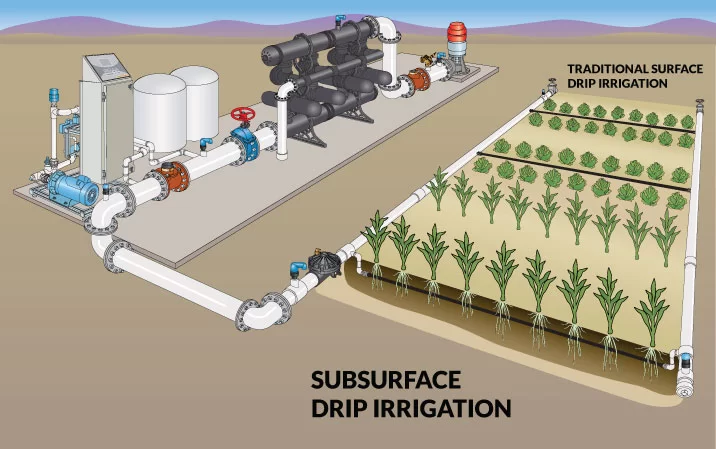 Row crop layout SDI