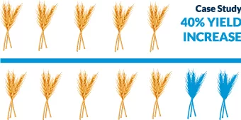 case study SDI yield increase diagram